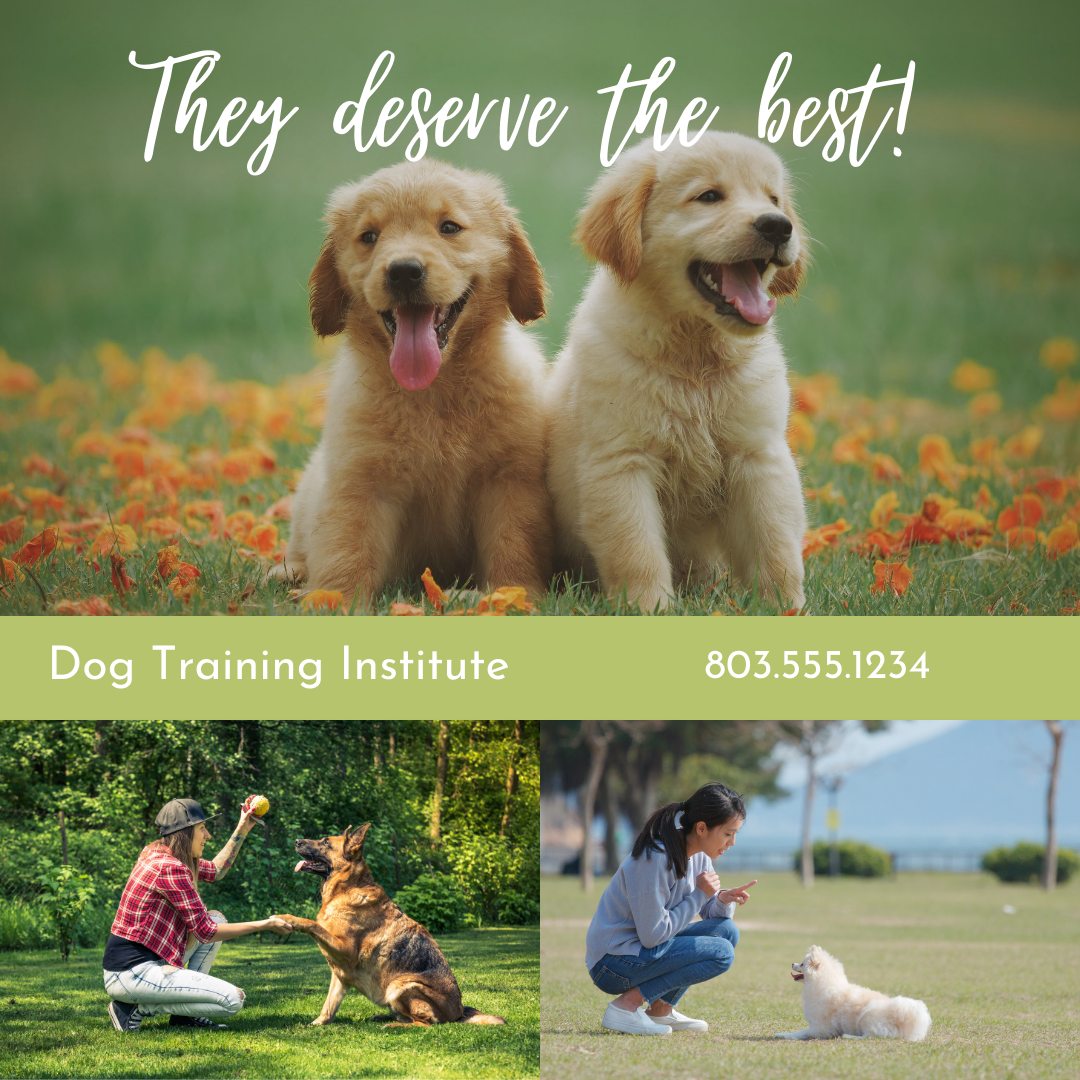 Dog Trainer Templates - package of 6