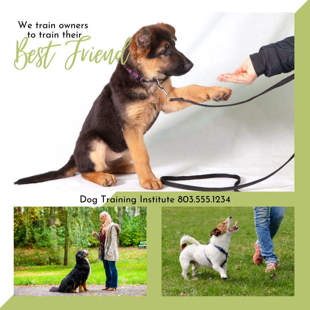 Dog Trainer Templates - package of 6