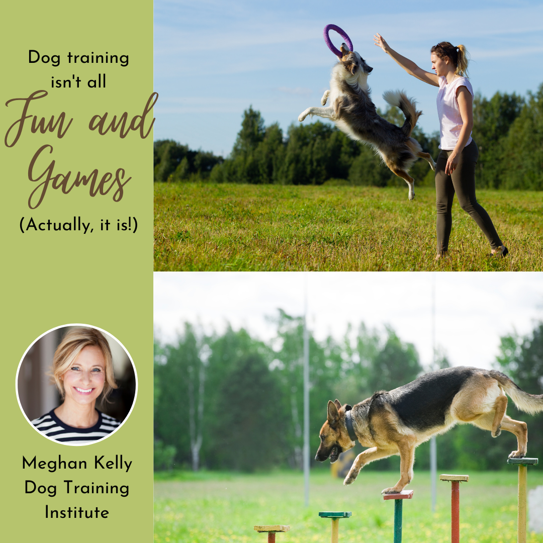 Dog Trainer Templates - package of 6