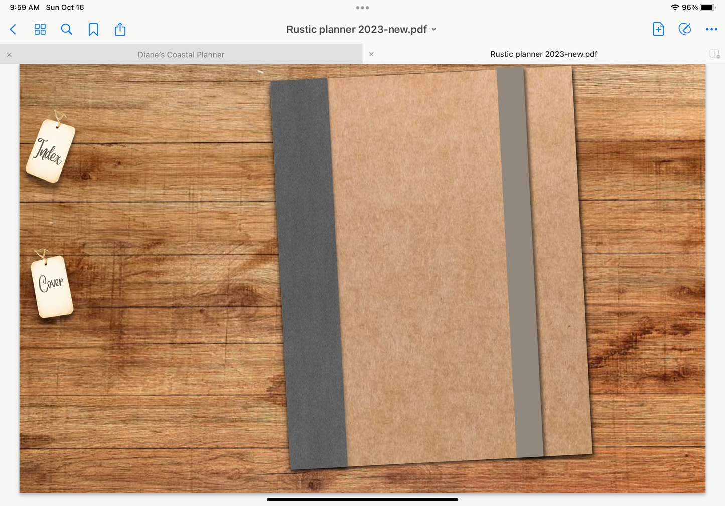 2023 dated digital planner journal for GoodNotes, ZoomNotes minimal design with daily, weekly, monthly hyperlinks