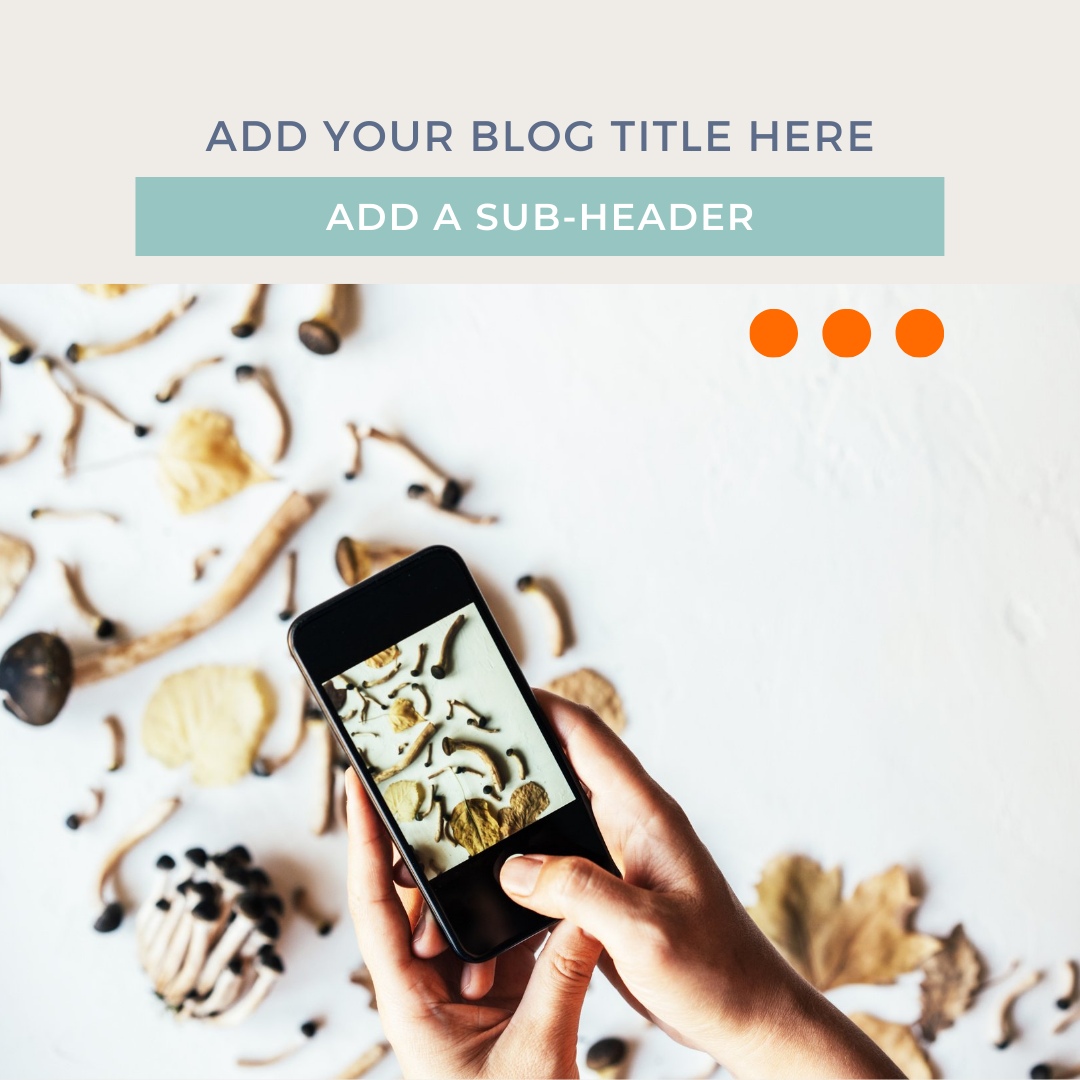 Blogger Templates - package of 24