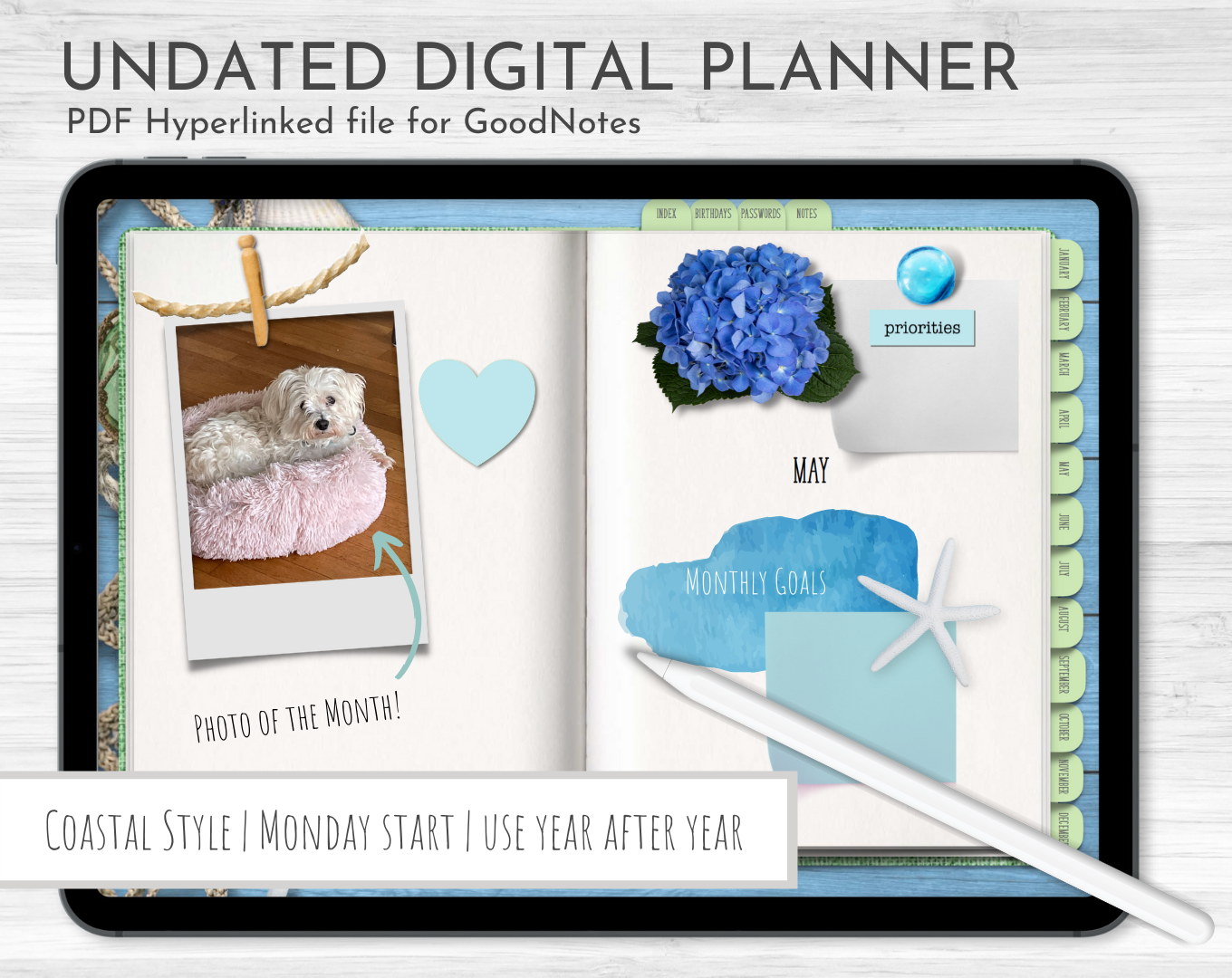 Coastal Design! Undated Digital Planner, GoodNotes Planner, Monthly, Weekly, Daily Planner, iPad Planner