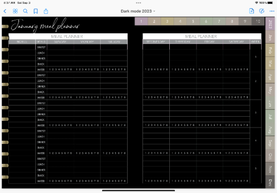 2023 dated dark mode digital planner journal for GoodNotes, ZoomNotes minimal design with daily, weekly, monthly hyperlinks